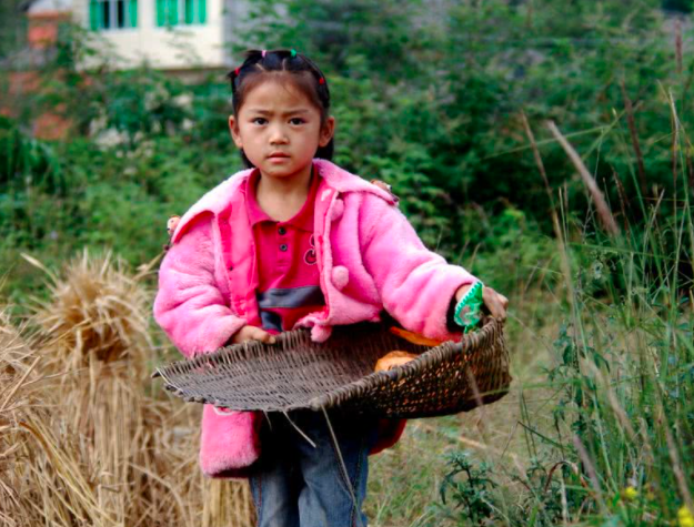 上海_一个小女孩和她身边的人们在秋天收集板栗的故事